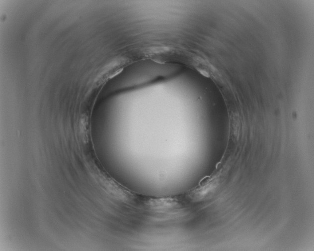 X0000076390378200610161146