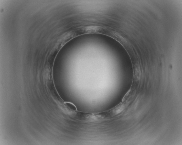 X0000076390379200610161146