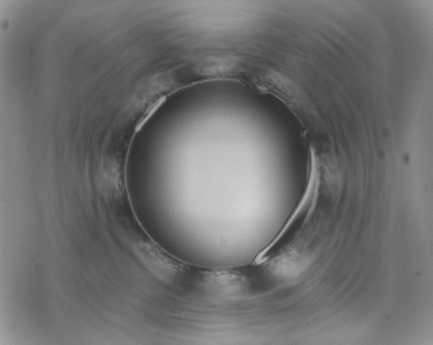 X0000076390380200610161146