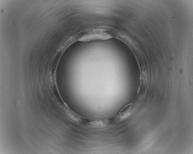 X0000076390381200610161146