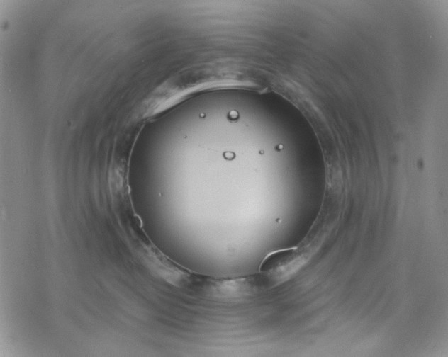 X0000076390382200610161146