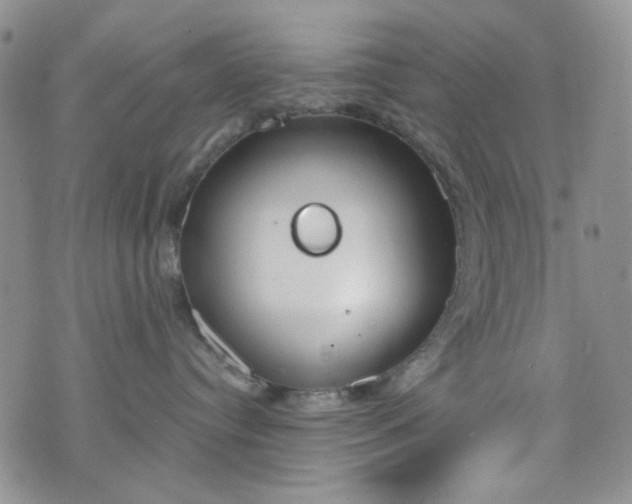 X0000076390384200610161146