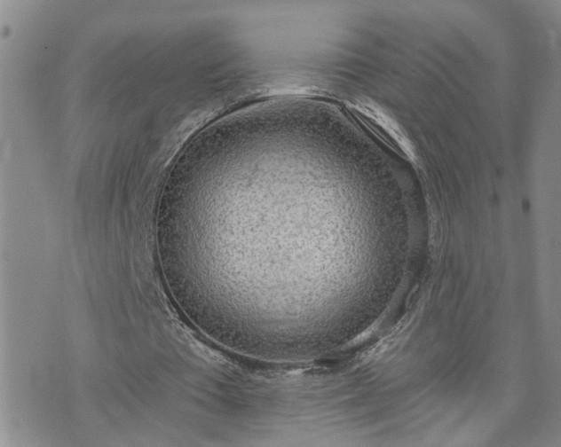 X0000076390385200610161145