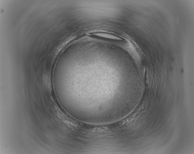 X0000076390386200610161145