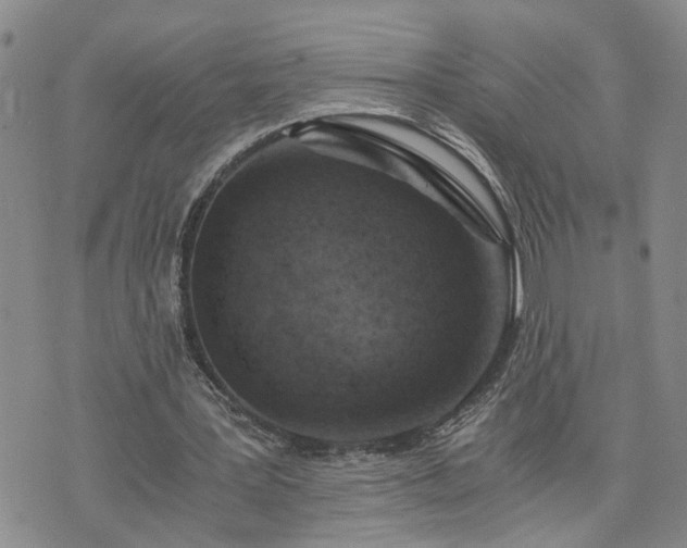 X0000076390387200610161145