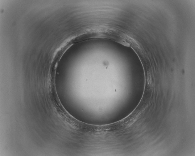 X0000076390388200610161145