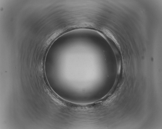 X0000076390389200610161145