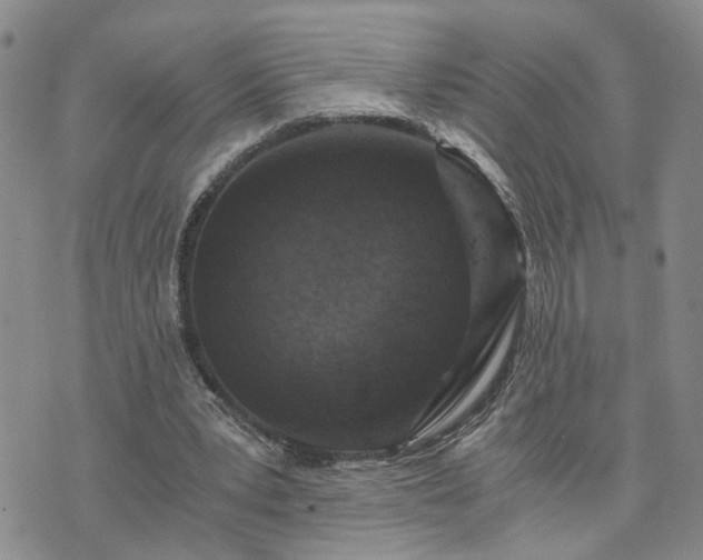 X0000076390391200610161145