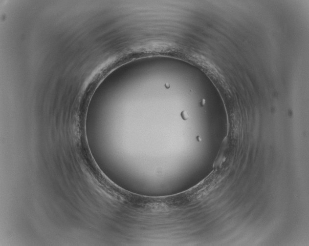 X0000076390392200610161145