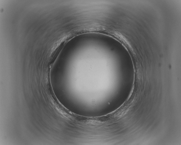 X0000076390393200610161145