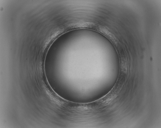 X0000076390394200610161145