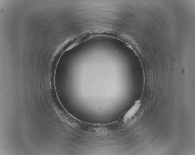 X0000076390395200610161145