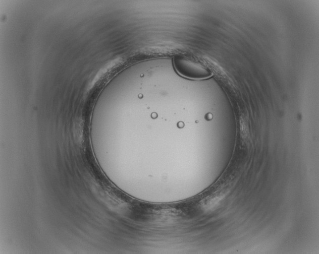 X0000076390396200610161145