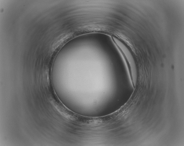 X0000076390398200610161145