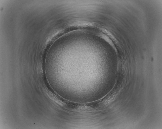 X0000076390399200610161145