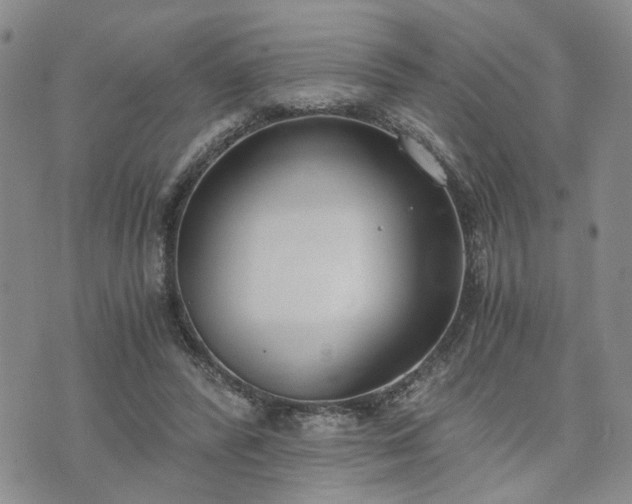 X0000076390400200610161145