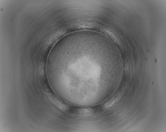 X0000076390402200610161145