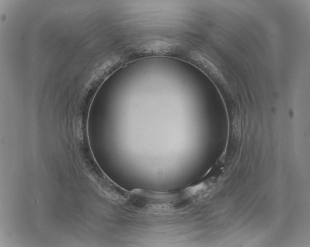 X0000076390403200610161145