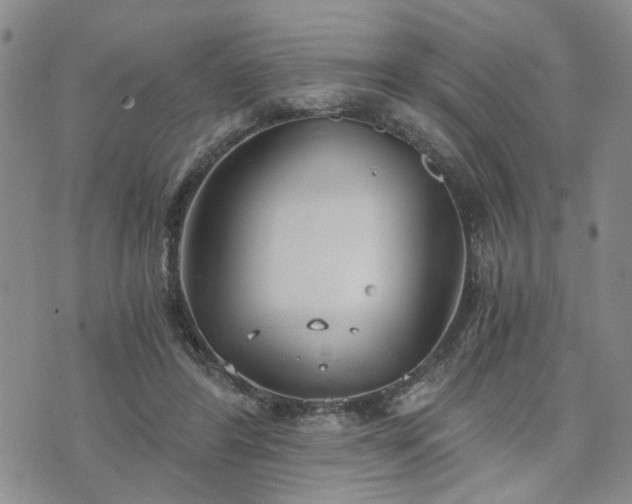 X0000076390404200610161145