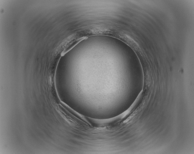 X0000076390405200610161145