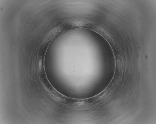 X0000076390406200610161145