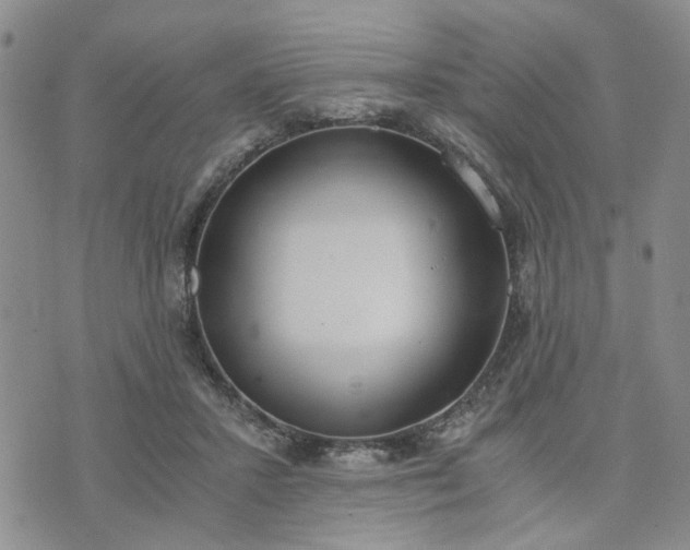 X0000076390407200610161145