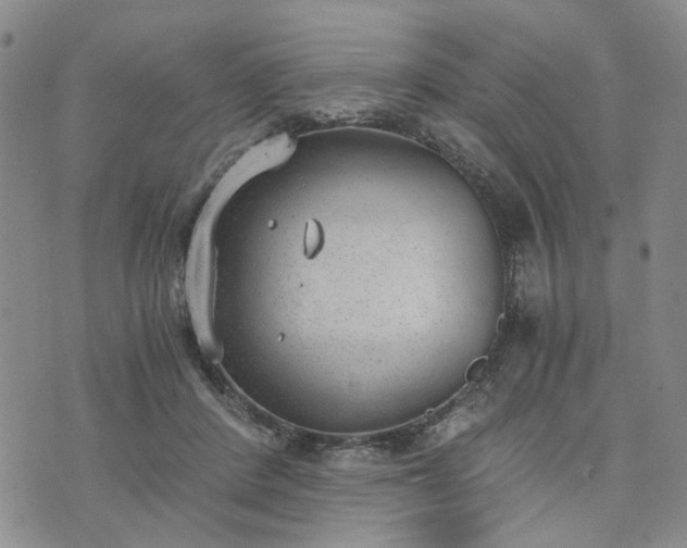 X0000076390408200610161145