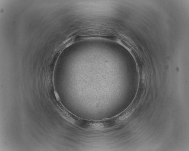 X0000076390409200610161145