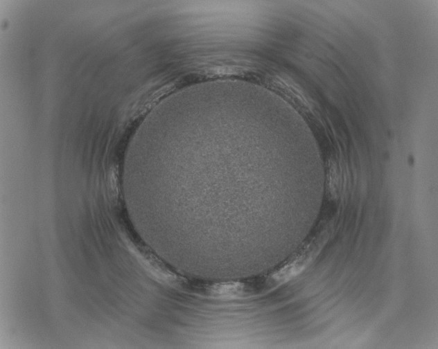 X0000076390410200610161145