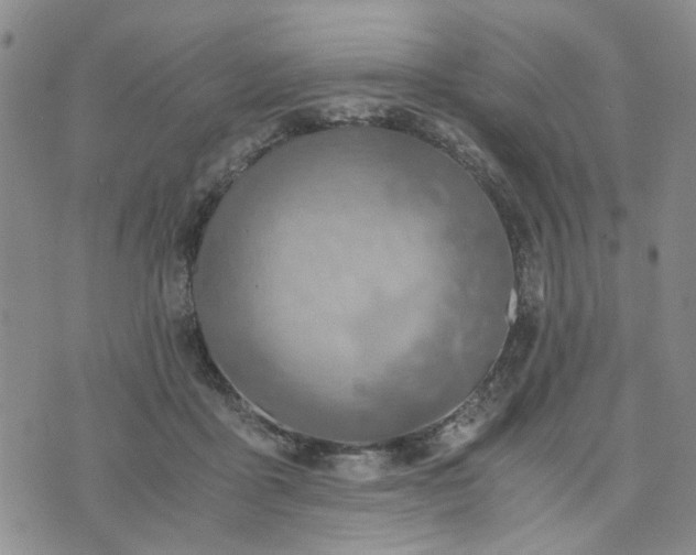 X0000076390411200610161145