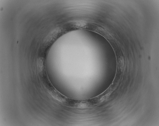 X0000076390412200610161145