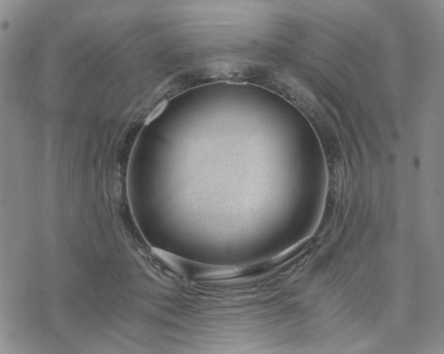 X0000076390413200610161145