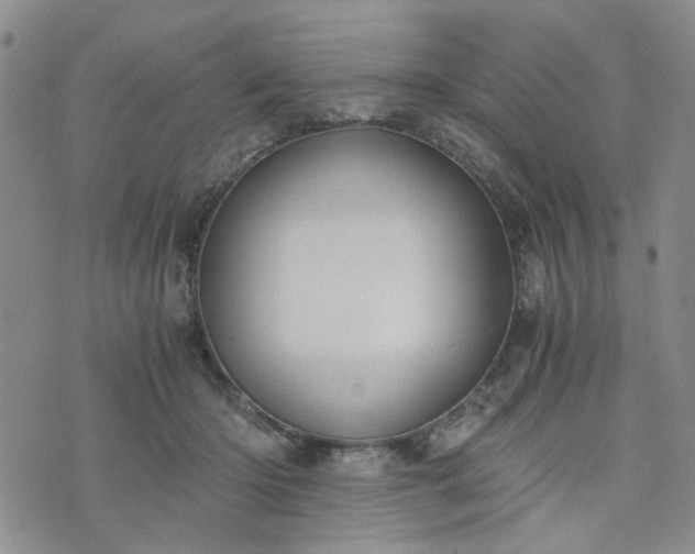 X0000076390414200610161145