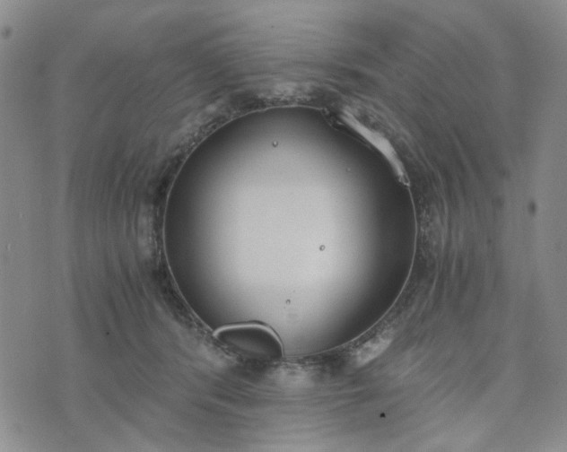 X0000076390416200610161145