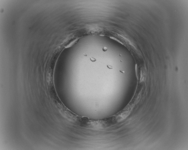 X0000076390417200610161145