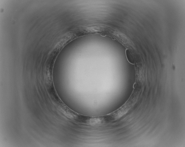 X0000076390418200610161145