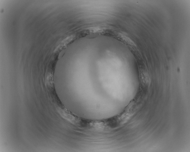 X0000076390419200610161145