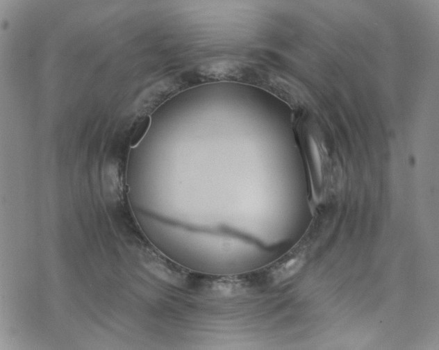 X0000076390420200610161145