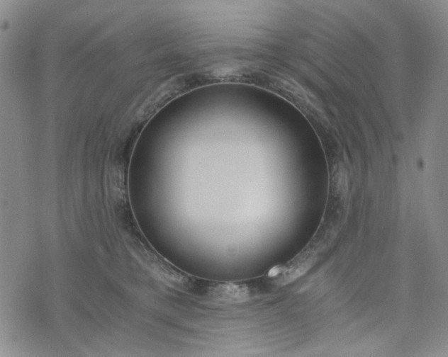 X0000076390421200610161145