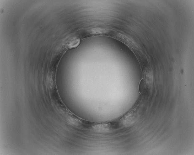 X0000076390422200610161145