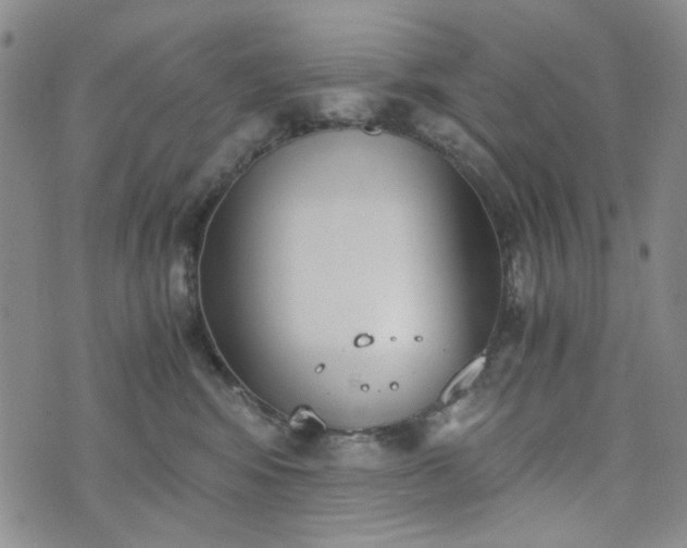 X0000076390424200610161145