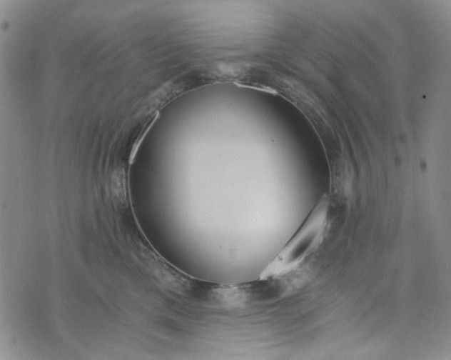 X0000076390425200610161145