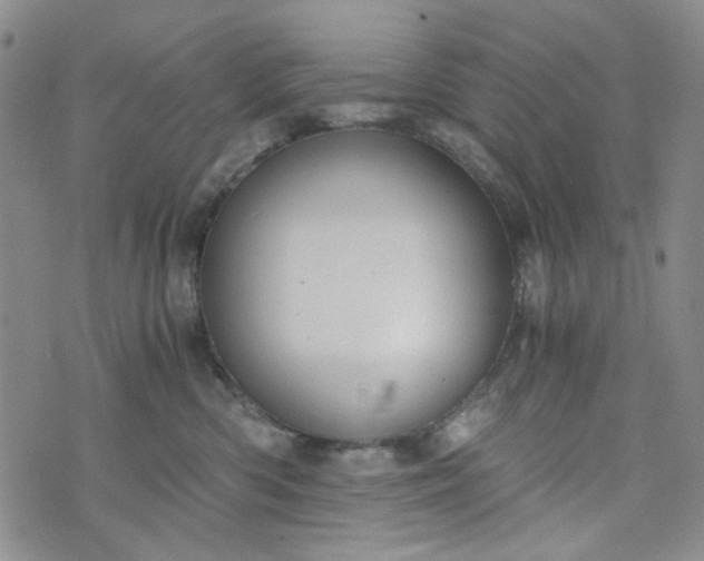 X0000076390426200610161145