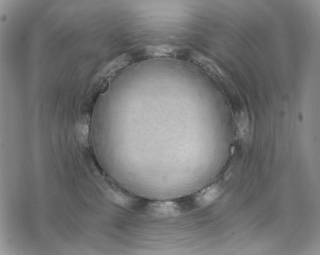 X0000076390427200610161145