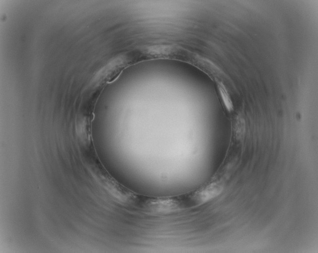 X0000076390428200610161145