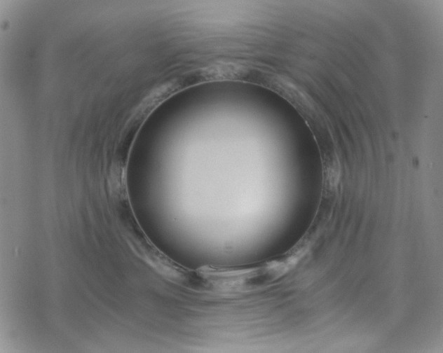 X0000076390429200610161145