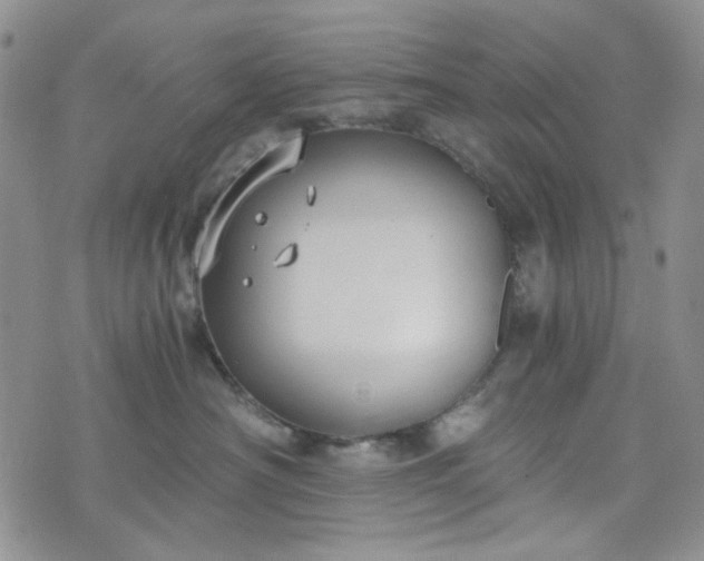 X0000076390430200610161145