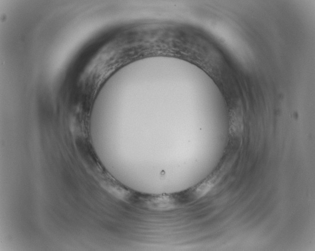 X0000076390431200610161145