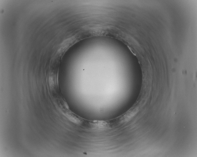 X0000076390432200610161145