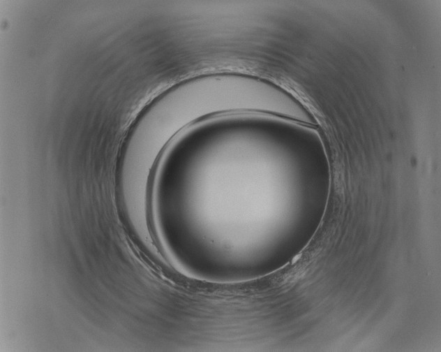 X0000076390434200610161144